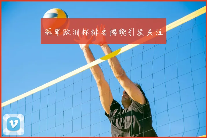 冠军欧洲杯排名揭晓引发关注