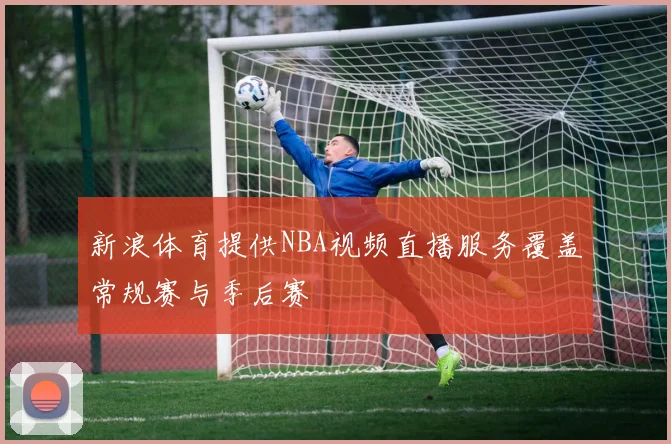 新浪体育提供NBA视频直播服务覆盖常规赛与季后赛