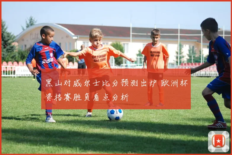 黑山对威尔士比分预测出炉 欧洲杯资格赛胜负看点分析
