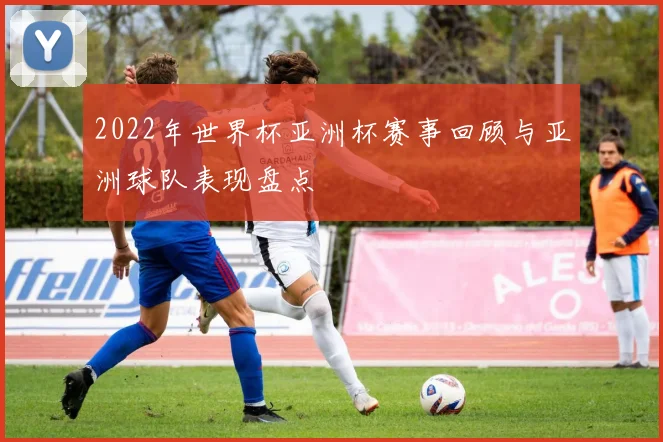 2022年世界杯亚洲杯赛事回顾与亚洲球队表现盘点