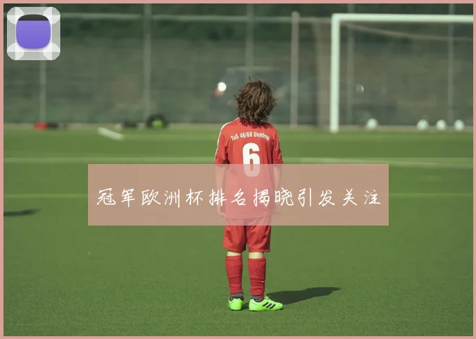 冠军欧洲杯排名揭晓引发关注