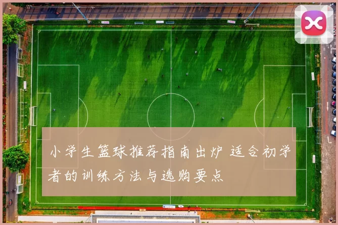 小学生篮球推荐指南出炉 适合初学者的训练方法与选购要点