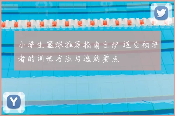 小学生篮球推荐指南出炉 适合初学者的训练方法与选购要点